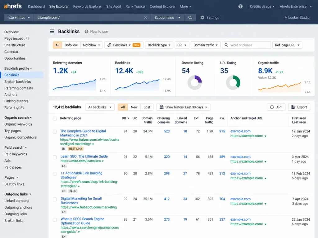 Ahrefs Backlinks Report Dashboard